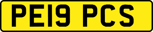 PE19PCS