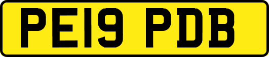 PE19PDB