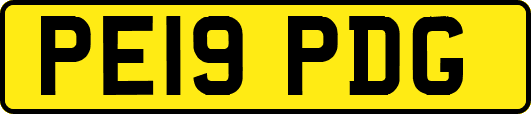 PE19PDG