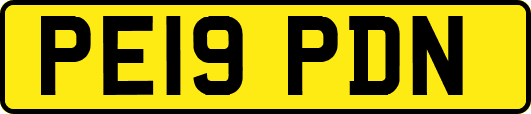 PE19PDN