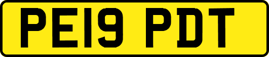 PE19PDT
