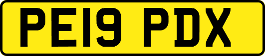 PE19PDX
