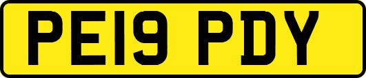 PE19PDY