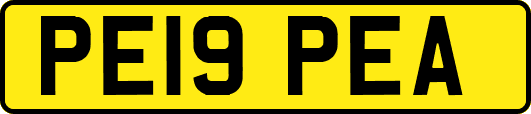 PE19PEA