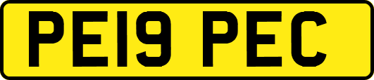 PE19PEC