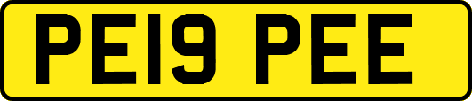 PE19PEE