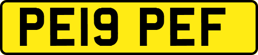 PE19PEF