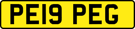 PE19PEG