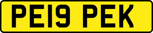 PE19PEK