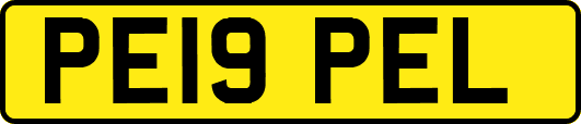 PE19PEL