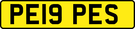PE19PES