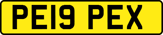 PE19PEX