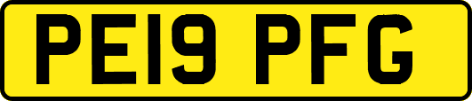 PE19PFG