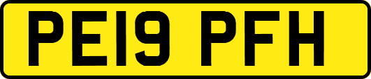 PE19PFH