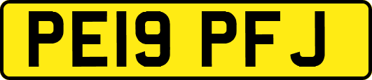 PE19PFJ