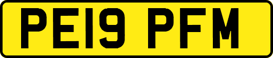 PE19PFM