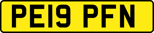 PE19PFN
