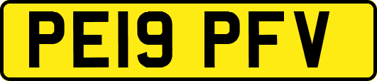 PE19PFV