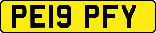 PE19PFY