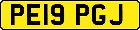 PE19PGJ
