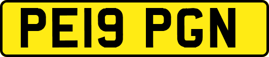 PE19PGN