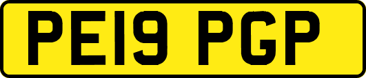 PE19PGP