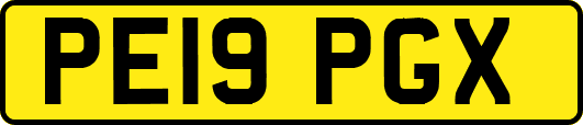 PE19PGX