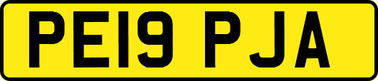 PE19PJA