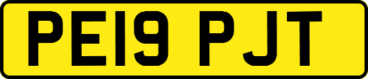 PE19PJT