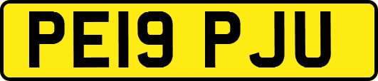 PE19PJU