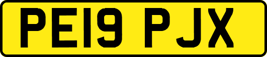 PE19PJX