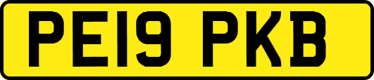 PE19PKB
