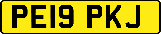 PE19PKJ