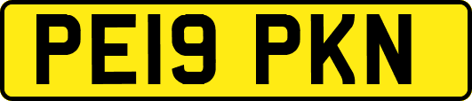 PE19PKN