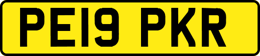 PE19PKR