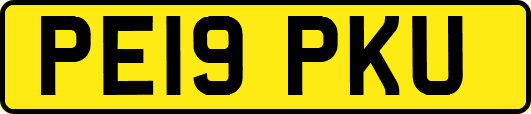 PE19PKU