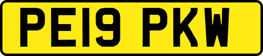 PE19PKW