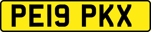 PE19PKX