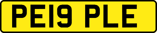 PE19PLE