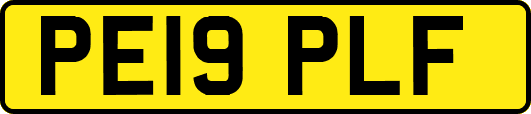 PE19PLF