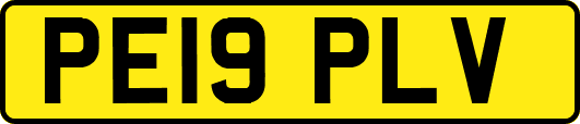 PE19PLV