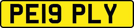 PE19PLY