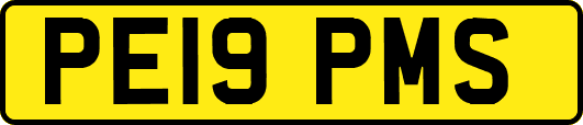 PE19PMS