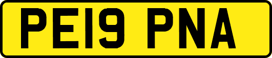 PE19PNA