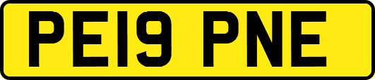 PE19PNE