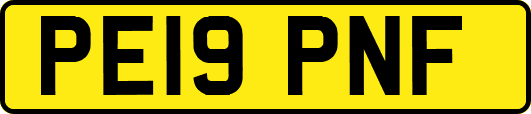 PE19PNF