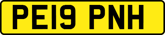 PE19PNH