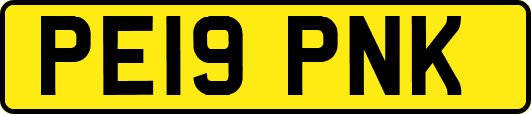 PE19PNK