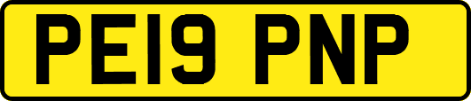 PE19PNP