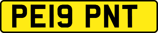 PE19PNT